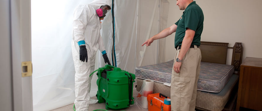 Fort Worth, TX mold removal process
